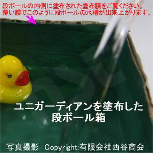 段ボールの箱の内側にユニガーディアンを塗って防水施工したもの。まるでプールのようで水が全く漏れない。